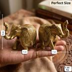 Pure Brass Elephant Figurine Pair – Set of 2