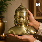 Pure Brass Buddha Head Bust