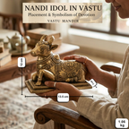 Pure Brass Nandi