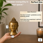 Pure Brass Sleeping Buddha Idol