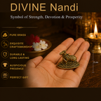 Pure Brass Miniature Nandi