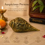 Pure Brass Sacred Shankh (Conch Shell)