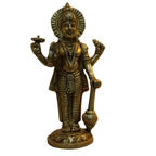 Pure Brass Vishnu